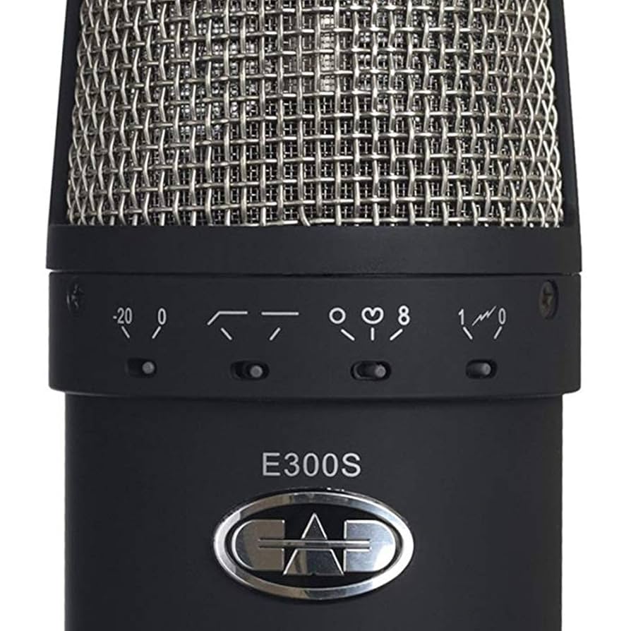 Amazon | CAD Audio Equitek e300 マルチパターンコンデンサー